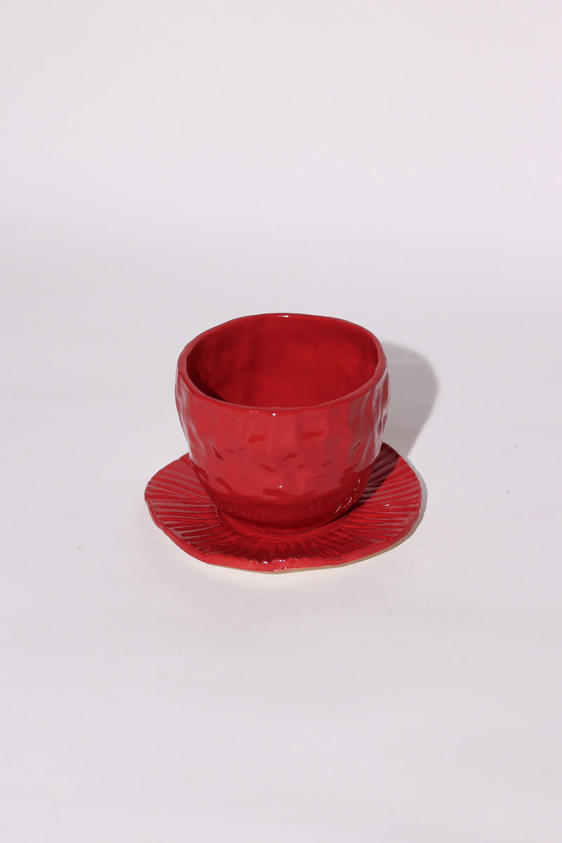 Pastelillo Cup and Saucer