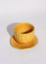 Pastelillo Cup and Saucer