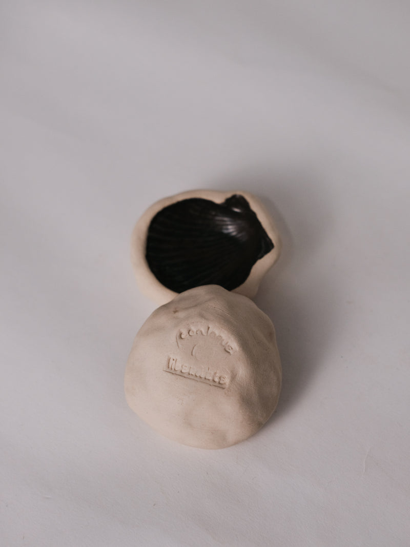 Caracol Blob - conloque 𖦹 liberárte